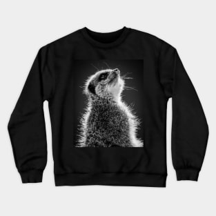 Lookout Sentry Crewneck Sweatshirt